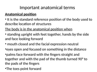 Important anatomical terms
Anatomical position
• It is the standard reference position of the body used to
describe location of structures
The body is in the anatomical position when
• standing upright with feet together, hands by the side
and face looking forward
• mouth closed and the facial expression neutral
•eyes open and focused on something in the distance
•palms face forward with the fingers straight and
together and with the pad of the thumb turned 90° to
the pads of the fingers
•The toes point forward
 