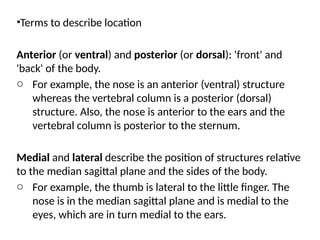 •Terms to describe location
Anterior (or ventral) and posterior (or dorsal): 'front' and
'back' of the body.
o For example, the nose is an anterior (ventral) structure
whereas the vertebral column is a posterior (dorsal)
structure. Also, the nose is anterior to the ears and the
vertebral column is posterior to the sternum.
Medial and lateral describe the position of structures relative
to the median sagittal plane and the sides of the body.
o For example, the thumb is lateral to the little finger. The
nose is in the median sagittal plane and is medial to the
eyes, which are in turn medial to the ears.
 