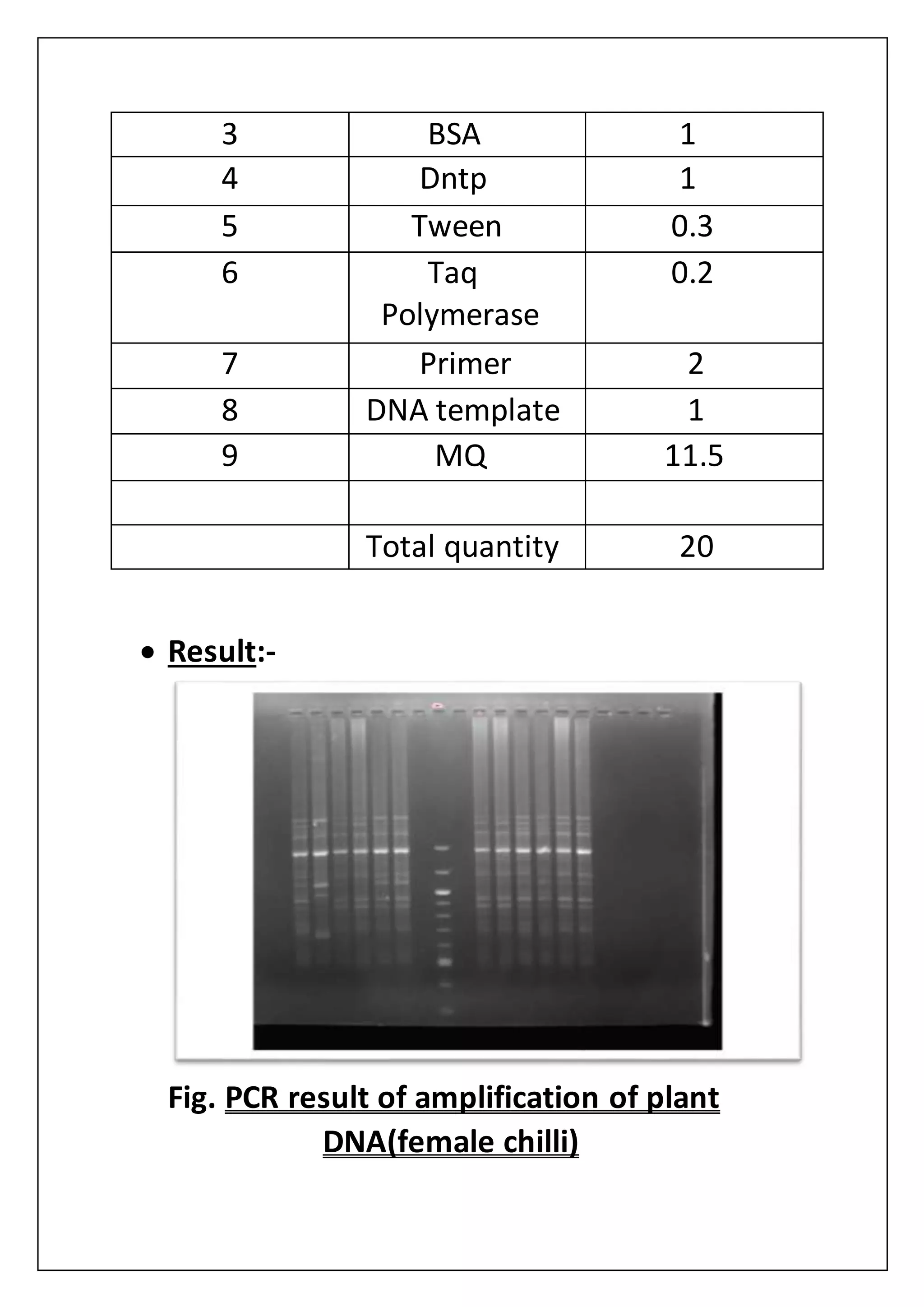 3 BSA 1
4 Dntp 1
5 Tween 0.3
6 Taq
Polymerase
0.2
7 Primer 2
8 DNA template 1
9 MQ 11.5
Total quantity 20
 Result:-
Fig. PCR result of amplification of plant
DNA(female chilli)
 