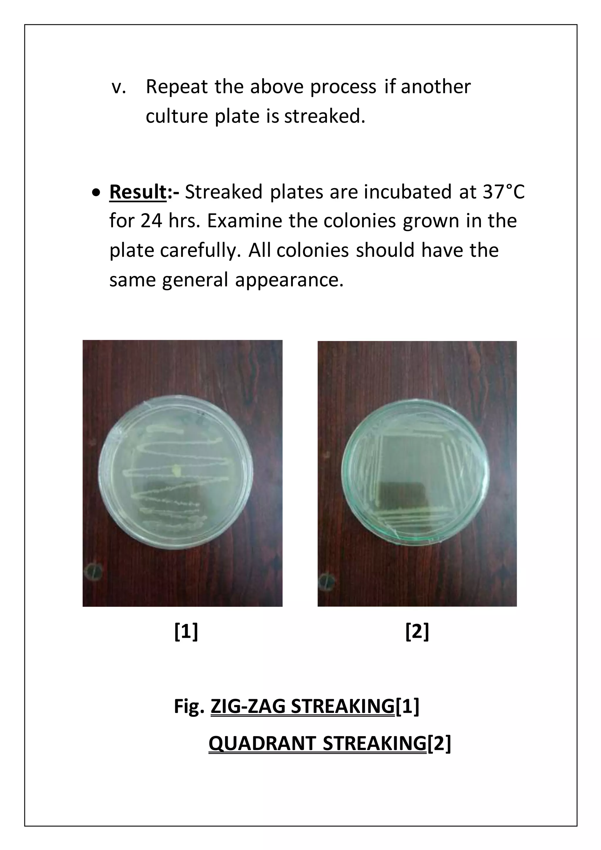 v. Repeat the above process if another
culture plate is streaked.
 Result:- Streaked plates are incubated at 37°C
for 24 hrs. Examine the colonies grown in the
plate carefully. All colonies should have the
same general appearance.
[1] [2]
Fig. ZIG-ZAG STREAKING[1]
QUADRANT STREAKING[2]
 