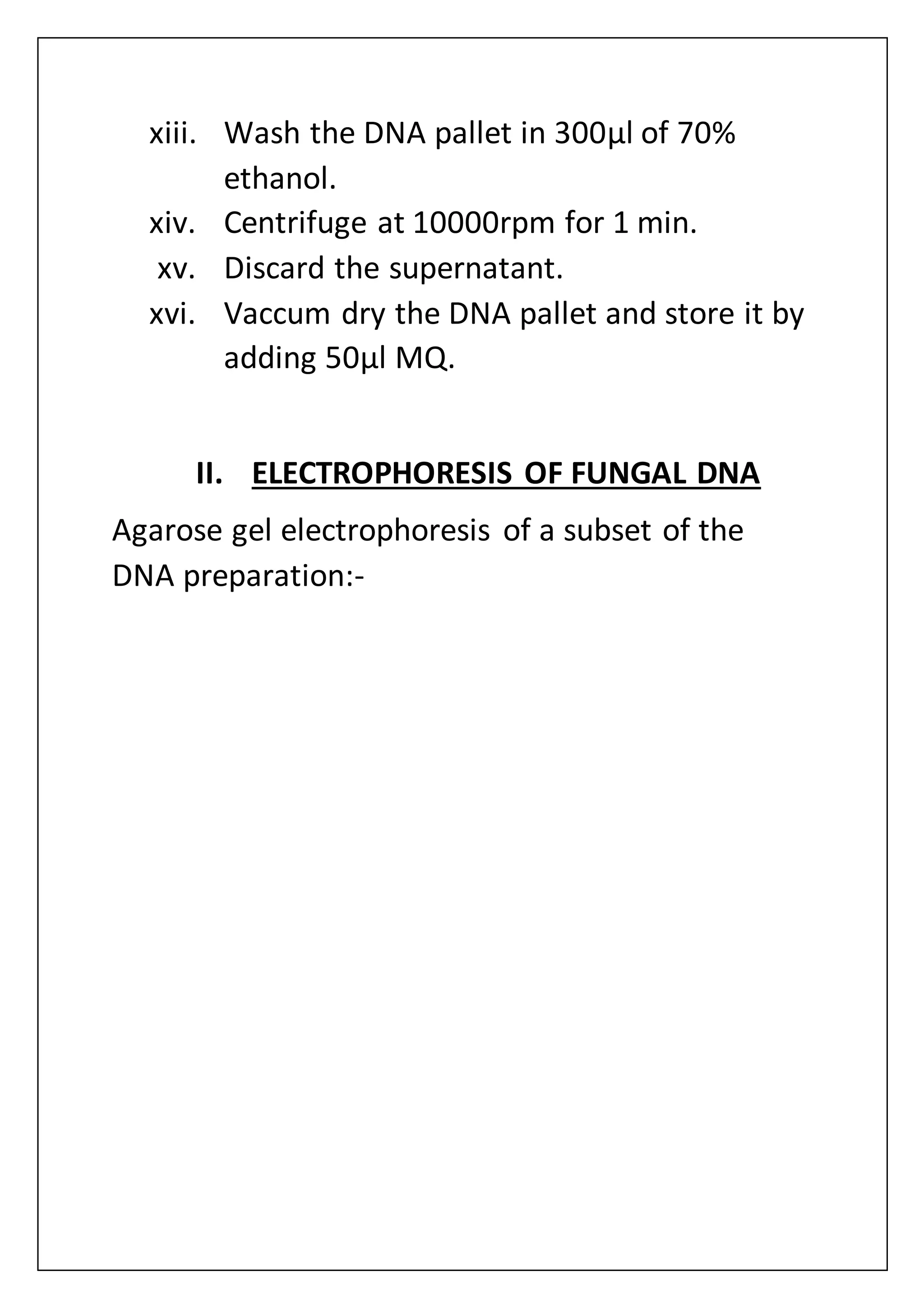 xiii. Wash the DNA pallet in 300µl of 70%
ethanol.
xiv. Centrifuge at 10000rpm for 1 min.
xv. Discard the supernatant.
xvi. Vaccum dry the DNA pallet and store it by
adding 50µl MQ.
II. ELECTROPHORESIS OF FUNGAL DNA
Agarose gel electrophoresis of a subset of the
DNA preparation:-
 