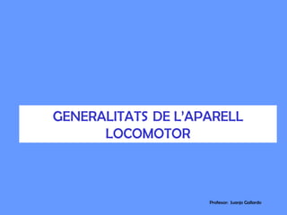 GENERALITATS DE L’APARELL
      LOCOMOTOR



                    Professor: Juanjo Gallardo
 