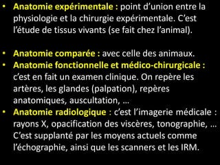• Anatomie expérimentale : point d’union entre la
physiologie et la chirurgie expérimentale. C’est
l’étude de tissus vivants (se fait chez l’animal).
• Anatomie comparée : avec celle des animaux.
• Anatomie fonctionnelle et médico-chirurgicale :
c’est en fait un examen clinique. On repère les
artères, les glandes (palpation), repères
anatomiques, auscultation, …
• Anatomie radiologique : c’est l’imagerie médicale :
rayons X, opacification des viscères, tonographie, …
C’est supplanté par les moyens actuels comme
l’échographie, ainsi que les scanners et les IRM.
 