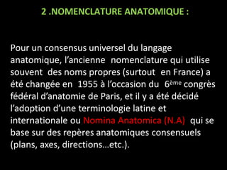 2 .NOMENCLATURE ANATOMIQUE :
Pour un consensus universel du langage
anatomique, l’ancienne nomenclature qui utilise
souvent des noms propres (surtout en France) a
été changée en 1955 à l’occasion du 6ème congrès
fédéral d’anatomie de Paris, et il y a été décidé
l’adoption d’une terminologie latine et
internationale ou Nomina Anatomica (N.A) qui se
base sur des repères anatomiques consensuels
(plans, axes, directions…etc.).
 