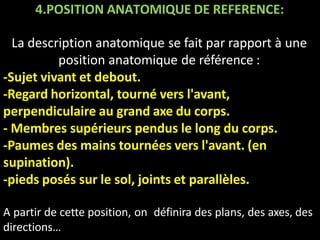 4.POSITION ANATOMIQUE DE REFERENCE:
La description anatomique se fait par rapport à une
position anatomique de référence :
-Sujet vivant et debout.
-Regard horizontal, tourné vers l'avant,
perpendiculaire au grand axe du corps.
- Membres supérieurs pendus le long du corps.
-Paumes des mains tournées vers l'avant. (en
supination).
-pieds posés sur le sol, joints et parallèles.
A partir de cette position, on définira des plans, des axes, des
directions…
 
