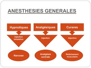ANESTHESIES GENERALES
Hypnotiques Analgésiques Curares
Injection
Inhalation
Injection Injection
Narcose
Analgésie
centrale
Relâchement
musculaire
 