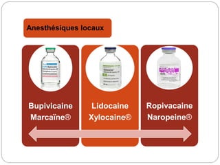 Anesthésiques locaux
Bupivicaine
Marcaïne®
Lidocaine
Xylocaine®
Ropivacaine
Naropeine®
 