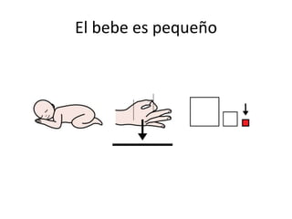 El bebe es pequeño
 