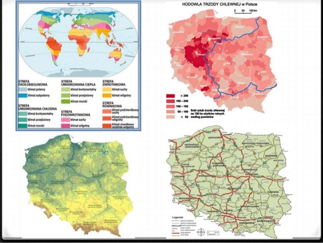 Na Czym Polega Generalizacja Mapy Generalizacja mapy, rodzaje map, poziomice