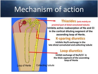 This, in turn, can cause sodium retention and oedema formation.