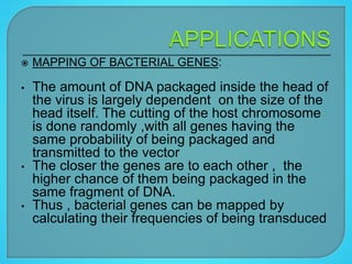  MAPPING OF BACTERIAL GENES:
• The amount of DNA packaged inside the head of
the virus is largely dependent on the size of the
head itself. The cutting of the host chromosome
is done randomly ,with all genes having the
same probability of being packaged and
transmitted to the vector
• The closer the genes are to each other , the
higher chance of them being packaged in the
same fragment of DNA.
• Thus , bacterial genes can be mapped by
calculating their frequencies of being transduced
 