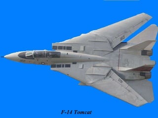 F-14 Tomcat 