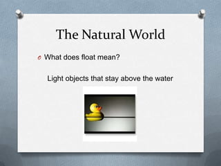 The Natural World
O What does float mean?
Light objects that stay above the water
 