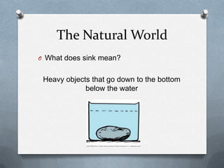 The Natural World
O What does sink mean?
Heavy objects that go down to the bottom
below the water
 