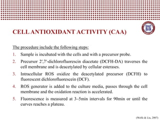 CELLANTIOXIDANT ACTIVITY (CAA)
(Wolfe & Liu, 2007)
The procedure include the following steps:
1. Sample is incubated with the cells and with a precursor probe.
2. Precursor 2′,7′-dichlorofluorescin diacetate (DCFH-DA) traverses the
cell membrane and is deacetylated by cellular esterases.
3. Intracellular ROS oxidize the deacetylated precursor (DCFH) to
fluorescent dichlorofluorescein (DCF).
4. ROS generator is added to the culture media, passes through the cell
membrane and the oxidation reaction is accelerated.
5. Fluorescence is measured at 3–5min intervals for 90min or until the
curves reaches a plateau.
 