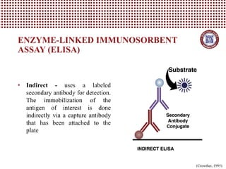 ENZYME-LINKED IMMUNOSORBENT
ASSAY (ELISA)
• Indirect - uses a labeled
secondary antibody for detection.
The immobilization of the
antigen of interest is done
indirectly via a capture antibody
that has been attached to the
plate
(Crowther, 1995)
 