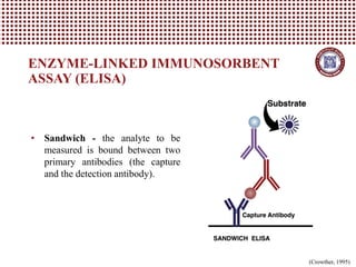 ENZYME-LINKED IMMUNOSORBENT
ASSAY (ELISA)
• Sandwich - the analyte to be
measured is bound between two
primary antibodies (the capture
and the detection antibody).
(Crowther, 1995)
 