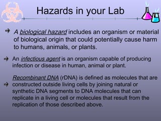 An infectious agent is an organism capable of producing
infection or disease in human, animal or plant.
Recombinant DNA (rDNA) is defined as molecules that are
constructed outside living cells by joining natural or
synthetic DNA segments to DNA molecules that can
replicate in a living cell or molecules that result from the
replication of those described above.
Hazards in your Lab
A biological hazard includes an organism or material
of biological origin that could potentially cause harm
to humans, animals, or plants.
 