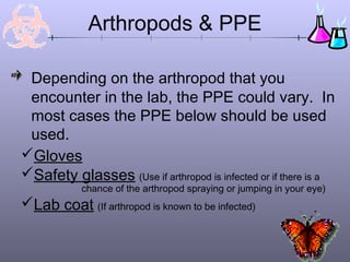 Arthropods & PPE
Depending on the arthropod that you
encounter in the lab, the PPE could vary. In
most cases the PPE below should be used
used.
Gloves
Safety glasses (Use if arthropod is infected or if there is a
chance of the arthropod spraying or jumping in your eye)
Lab coat (If arthropod is known to be infected)
 