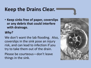 Keep the Drains Clear.
• Keep sinks free of paper, coverslips
or any debris that could interfere
with drainage.
Why?
We don’t want the lab flooding. Also,
coverslips in the sink pose an injury
risk, and can lead to infection if you
try to take them out of the drain.
Please be courteous—don’t leave
things in the sink.
 