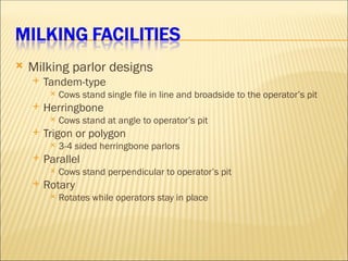 Parallel Cow (General) Lactation&Milking.ppteeeddfrrvf | PPT