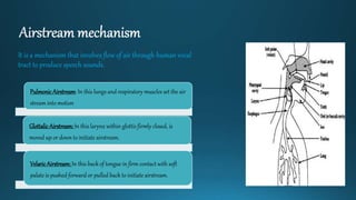 General linguistics | PPTX