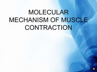 General mechanism of muscle contraction | PPTX