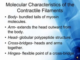 General mechanism of muscle contraction | PPTX