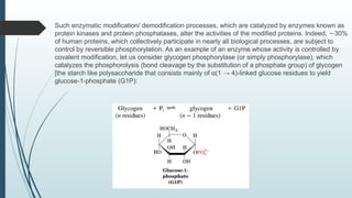 GENERAL MECHANISMS OF ENZYME REGULATION (1).pptx