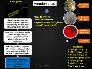 Mawkish Examples General microbiology | PPTX