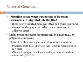 Bacterial Genetics…
C. Mutation occurs when transposons or insertion
sequences are integrated into the DNA
• these newly inserted pieces of DNA can cause profound
changes in the genes into which they insert and in
adjacent genes
• Many mutations occur spontaneously in nature (e.g., by
polymerase mistakes)
• Physical or chemical agents can also induce mutation
• Physical agents: heat, ultraviolet light, ionizing radiation (such
as x-rays)
• Chemical mutagens: ethidium bromide, acridine derivatives,
nitrous acid (HNO2)
100
 
