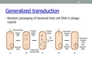 106
Generalized transduction
• Random packaging of bacterial host cell DNA in phage
capsid
 
