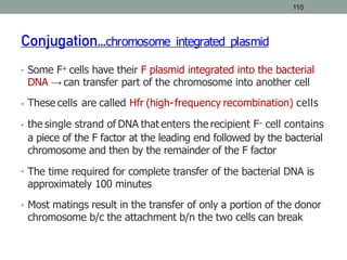 110
Conjugation…chromosome integrated plasmid
Some F+ cells have their F plasmid integrated into the bacterial
DNA → can transfer part of the chromosome into another cell
These cells are called Hfr (high-frequency recombination) cells
the single strand of DNA that enters the recipient F– cell contains
a piece of the F factor at the leading end followed by the bacterial
chromosome and then by the remainder of the F factor
The time required for complete transfer of the bacterial DNA is
approximately 100 minutes
Most matings result in the transfer of only a portion of the donor
chromosome b/c the attachment b/n the two cells can break
•
•
•
•
•
 