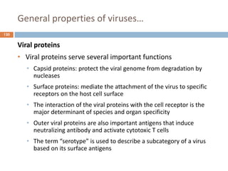 General properties of viruses…
120
Viral proteins
• Viral proteins serve several important functions
• Capsid proteins: protect the viral genome from degradation by
nucleases
• Surface proteins: mediate the attachment of the virus to specific
receptors on the host cell surface
• The interaction of the viral proteins with the cell receptor is the
major determinant of species and organ specificity
• Outer viral proteins are also important antigens that induce
neutralizing antibody and activate cytotoxic T cells
• The term “serotype” is used to describe a subcategory of a virus
based on its surface antigens
 