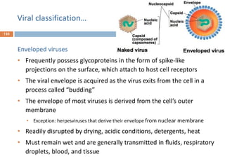 Viral classification…
123
Enveloped viruses
• Frequently possess glycoproteins in the form of spike-like
projections on the surface, which attach to host cell receptors
• The viral envelope is acquired as the virus exits from the cell in a
process called “budding”
• The envelope of most viruses is derived from the cell’s outer
membrane
• Exception: herpesviruses that derive their envelope from nuclear membrane
• Readily disrupted by drying, acidic conditions, detergents, heat
• Must remain wet and are generally transmitted in ﬂuids, respiratory
droplets, blood, and tissue
 
