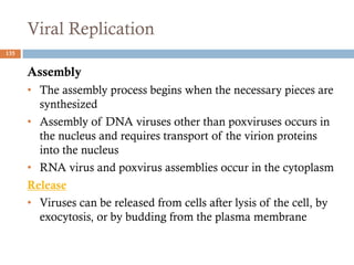 Viral Replication
135
Assembly
• The assembly process begins when the necessary pieces are
synthesized
• Assembly of DNA viruses other than poxviruses occurs in
the nucleus and requires transport of the virion proteins
into the nucleus
• RNA virus and poxvirus assemblies occur in the cytoplasm
Release
• Viruses can be released from cells after lysis of the cell, by
exocytosis, or by budding from the plasma membrane
 