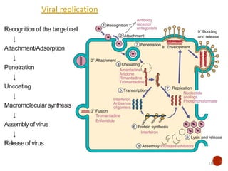 Viral replication
Recognition of the targetcell
↓
Attachment/Adsorption
↓
Penetration
↓
Uncoating
↓
Macromolecularsynthesis
↓
Assemblyof virus
↓
Releaseof virus
136
 