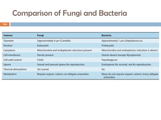 Comparison of Fungi and Bacteria
144
 