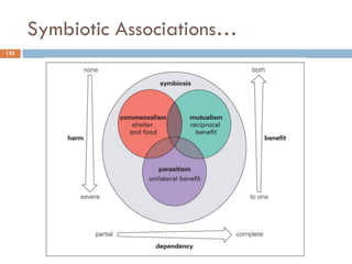 Symbiotic Associations…
155
 