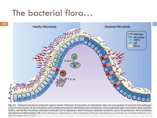 The bacterial flora…
164
 