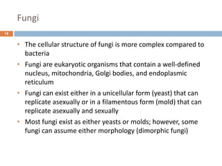 Fungi
18
• The cellular structure of fungi is more complex compared to
bacteria
• Fungi are eukaryotic organisms that contain a well-defined
nucleus, mitochondria, Golgi bodies, and endoplasmic
reticulum
• Fungi can exist either in a unicellular form (yeast) that can
replicate asexually or in a filamentous form (mold) that can
replicate asexually and sexually
• Most fungi exist as either yeasts or molds; however, some
fungi can assume either morphology (dimorphic fungi)
 