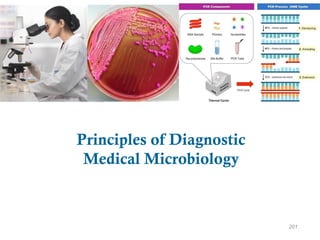 Principles of Diagnostic
Medical Microbiology
201
 