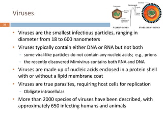 Viruses
21
• Viruses are the smallest infectious particles, ranging in
diameter from 18 to 600 nanometers
• Viruses typically contain either DNA or RNA but not both
− some viral-like particles do not contain any nucleic acids; e.g., prions
− the recently discovered Mimivirus contains both RNA and DNA
• Viruses are made up of nucleic acids enclosed in a protein shell
with or without a lipid membrane coat
• Viruses are true parasites, requiring host cells for replication
− Obligate intracellular
• More than 2000 species of viruses have been described, with
approximately 650 infecting humans and animals
 