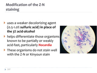Modification of the Z-N
staining
 uses a weaker decolorizing agent
(0.5-1.0% sulfuric acid) in place of
the 3% acid-alcohol
 helps differentiate those organisms
known to be partially or weakly
acid-fast, particularly Nocardia
 These organisms do not stain well
with the Z-N or Kinyoun stain
217
 