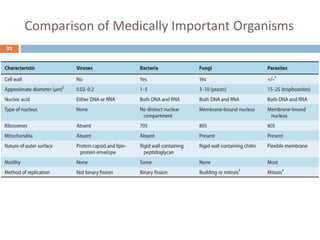 Comparison of Medically Important Organisms
22
 