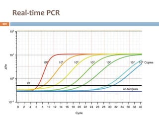 Real‐time PCR
239
 