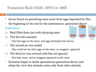 Francesco Redi (1626–1697) in 1668
26
• larvae found on putrefying meat arose from eggs deposited by flies
• the beginning of the end for the spontaneous generation theory
Experiment
a) Redi filled three jars with decaying meat
b) The first left unsealed
• flies laid eggs on the meat, and eggs developed into larvae
c) The second jar was sealed
• flies could not lay their eggs on the meat, no maggots appeared
d) The third jar was covered with fine net (gauze)
• flies kept away, and no maggots appeared on the meat
• Scientists began to doubt spontaneous generation theory and
adopt the view that animals come only from other animals
 