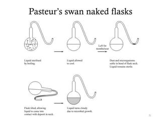 Pasteur’s swan naked flasks
31
 