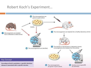 Robert Koch’s Experiment…
2018
37
 