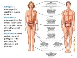 • Pathogen: a
microorganism
capable of causing
disease
• Normal flora:
microorganisms that
inhabit the skin and
mucous membranes
of healthy normal
persons
• Importance: defense
against microbial
pathogens → by
competing for
attachment and
nutrition
40
 